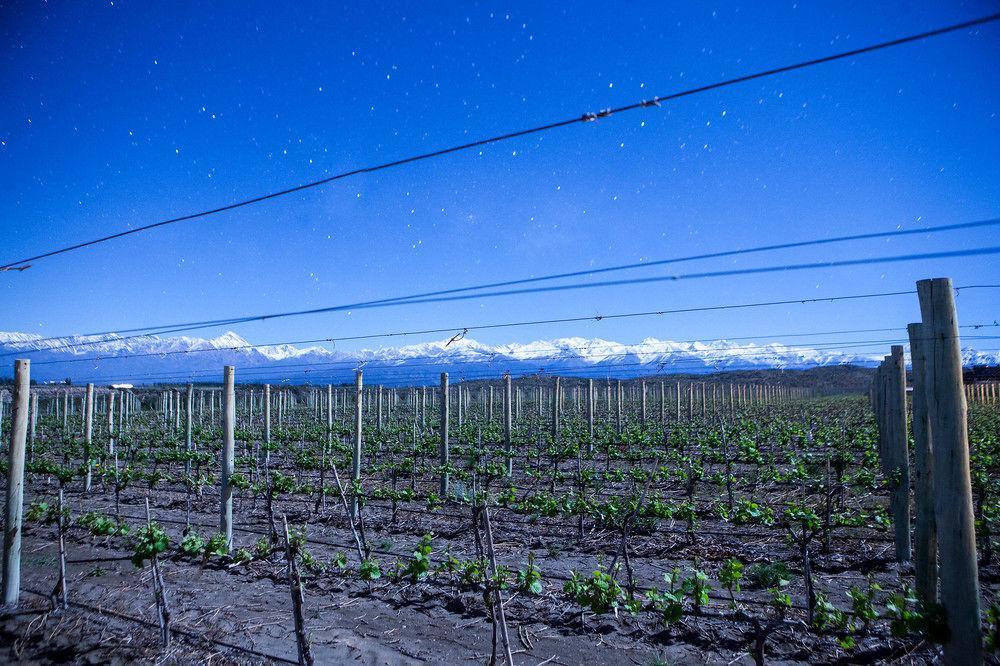 Auberge Du Vin, A Tribute Portfolio Hotel Tupungato Ngoại thất bức ảnh